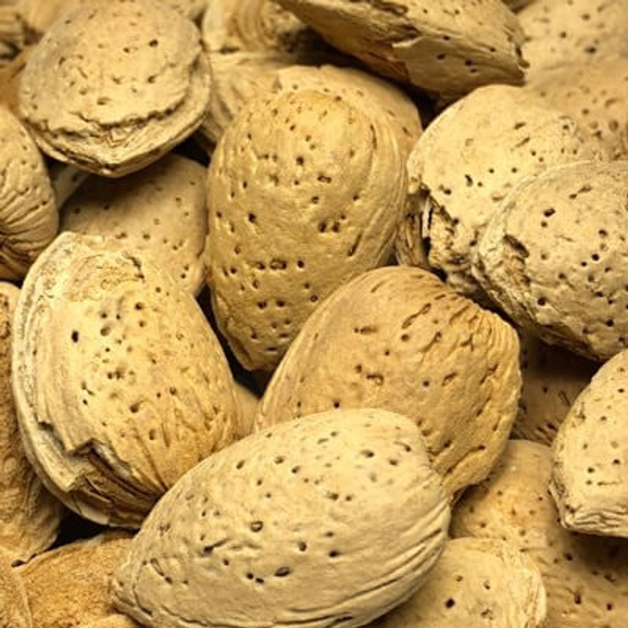 Almond R/S In Shell 1lb